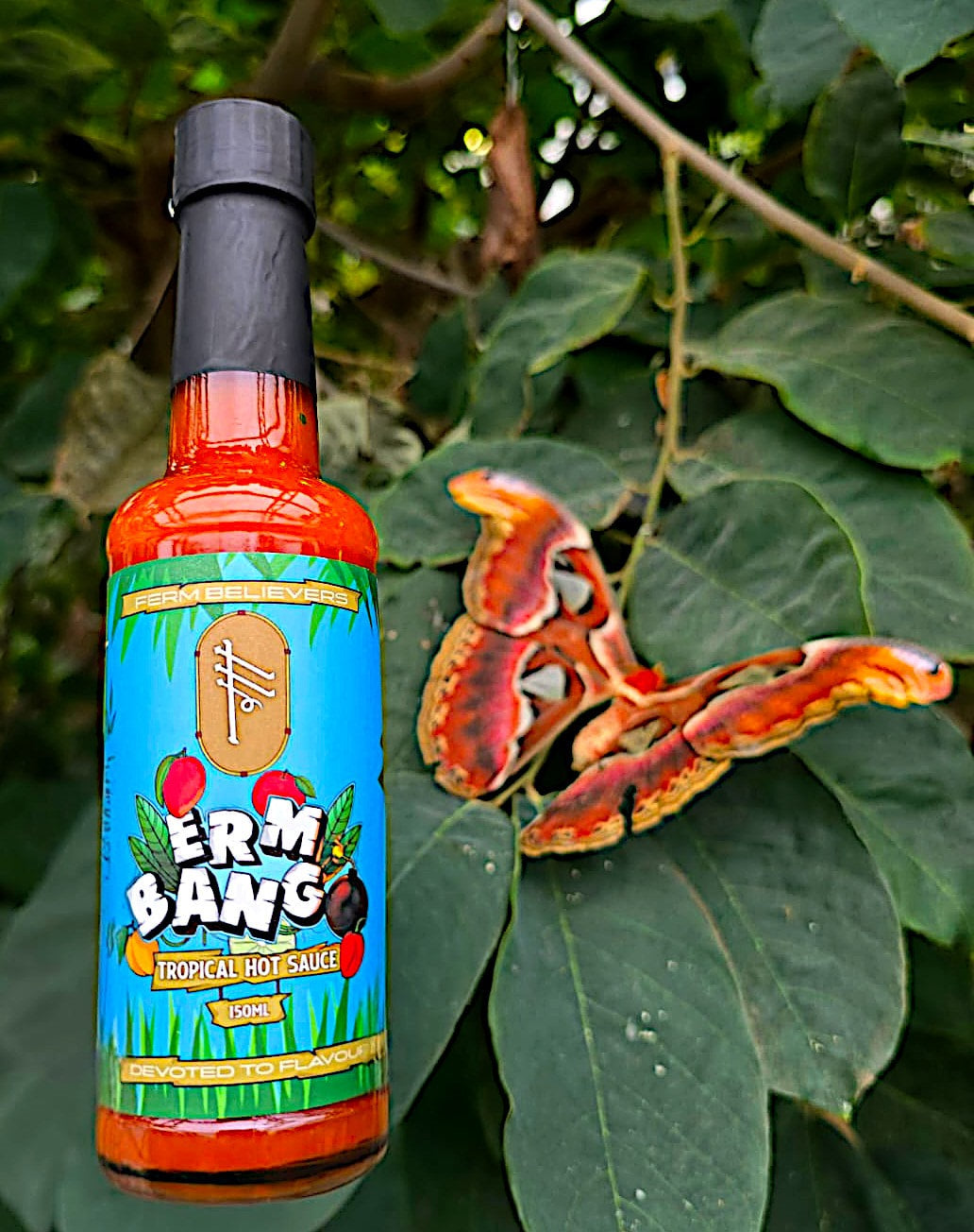 ERM BANGO - Tropical hot Sauce